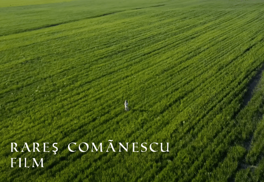 http://Drone%20cinematic%20frame%20from%20Klaudia%20x%20SteveAnt%20–%20Arde-mă%20Încet%20official%20music%20video%20filmed%20and%20produced%20by%20Rareș%20Comănescu.